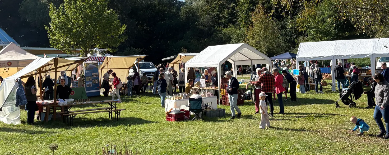 Sonniger Outdoor-Markt mit Verkaufsständen und Zelten, umgeben von Natur und Bäumen. Besucherinnen und Besucher schlendern umher.