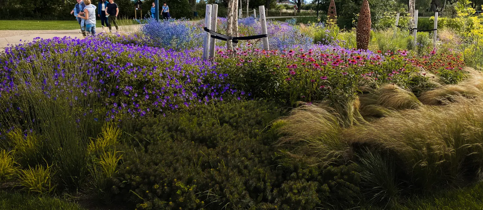 Ein prachtvoll blühendes Beet auf der Landesgartenschau Beelitz 2022. Im Hintergrund Menschen, die flanieren.