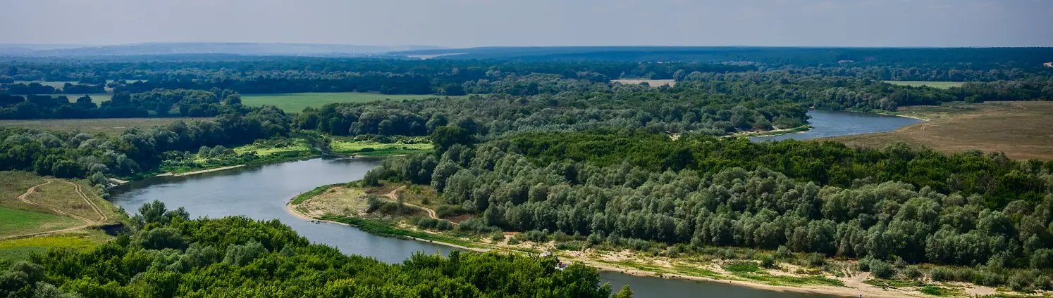Eine Brandenburger Flusslandschaft mit grünen Wäldern aus der Vogelperspektive.